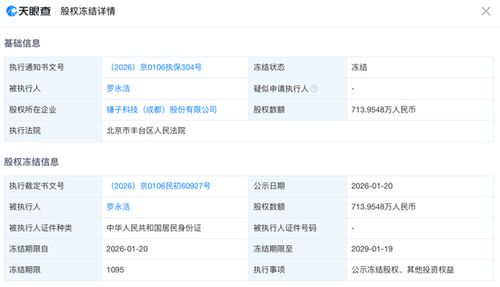 罗永浩股权被冻结背后 科技创业者的风险与反思